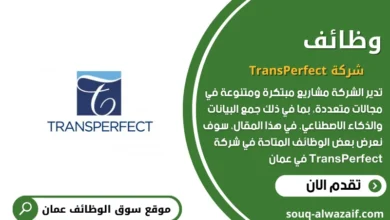 شركة TransPerfect