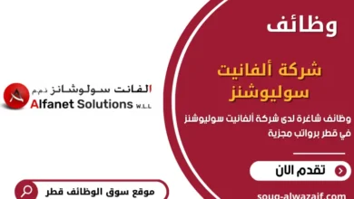 وظائف شاغرة لدى شركة ألفانيت سوليوشنز في قطر