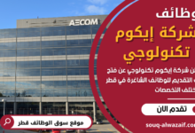 وظائف شركة إيكوم تكنولوجي في قطر