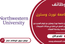 وظائف جامعة نورث وسترن في قطر