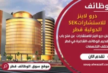 وظائف درو لاينز للاستشارات في قطر