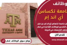 وظائف جامعة تكساس أي اند إم في قطر