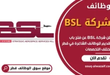 وظائف شركة BSL في قطر
