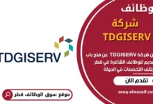 وظائف شركة TDGISERV في قطر