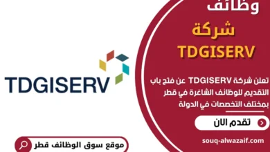 وظائف شركة TDGISERV في قطر