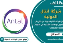 وظائف شركة أنتال الدولية في الامارات