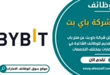 وظائف شركة باي بت في الامارات