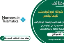 وظائف شركة نوركونسلت تليماتيكس في السعودية