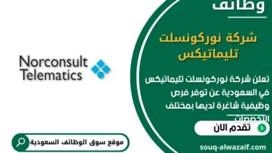 وظائف شركة نوركونسلت تليماتيكس في السعودية