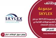وظائف مجموعة SKYLEX في قطر