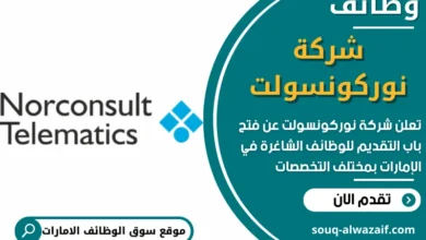 وظائف شركة نوركونسولت في الامارات