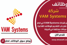 فرص عمل في شركة VAM Systems في قطر