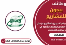 وظائف شركة بيجون للمشاريع في قطر