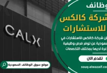 فرص عمل في شركة كالكس للاستشارات في السعودية