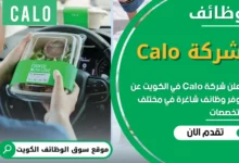 فرص عمل في شركة Calo في الكويت