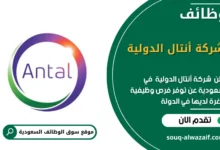 وظائف شركة أنتال الدولية في السعودية