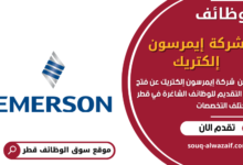وظائف شركة إيمرسون إلكتريك في قطر