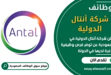 فرص عمل في شركة أنتال الدولية في السعودية