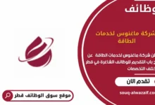 وظائف شركة ماغنوس لخدمات الطاقة في قطر