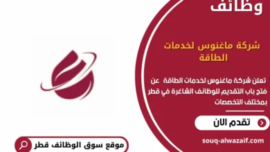 وظائف شركة ماغنوس لخدمات الطاقة في قطر