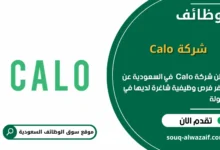 وظائف شركة Calo في السعودية