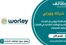 فرص عمل شركة وورلي