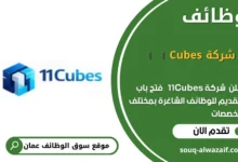 وظائف شركة 11Cubes في عمان