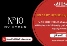 فرص عمل شركة NO 10 BY HYDUR