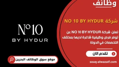 فرص عمل شركة NO 10 BY HYDUR
