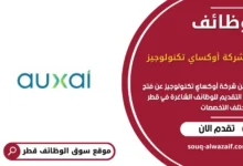 وظائف شركة أوكساي تكنولوجيز في قطر