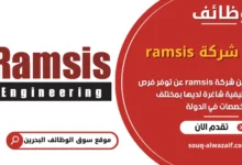 فرص عمل شركة ramsis في البحرين