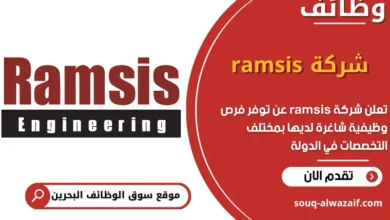 فرص عمل شركة ramsis في البحرين