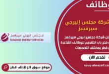 وظائف شركة مجنس إنيرجي سيرفسز في قطر