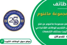فرص عمل في مجموعة ماغنوم في الكويت