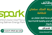 فرص عمل مدينة الملك سلمان للطاقة في السعودية