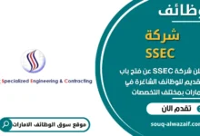 فرص عمل شركة SSEC في الامارات