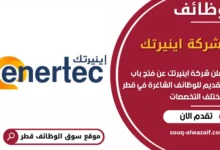 فرص عمل مميزة في شركة اينيرتك في قطر