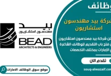 فرص عمل شركة بيد مهندسون استشاريون في الامارات