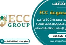 فرص عمل مجموعة ECC في الامارات