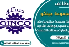 فرص عمل مجموعة جينكو في الامارات