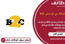 وظائف شركة بي تو سي B2C في قطر